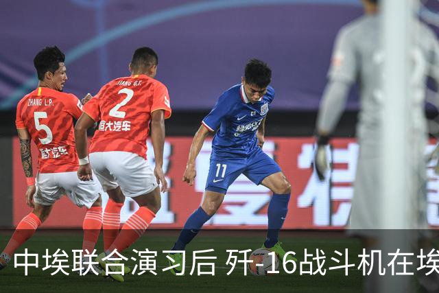 中埃联合演习后 歼-16战斗机在埃及参展引发关注