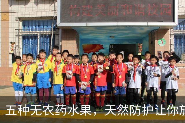 五种无农药水果，天然防护让你放心畅享