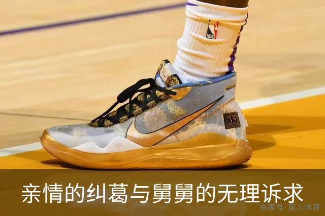 亲情的纠葛与舅舅的无理诉求