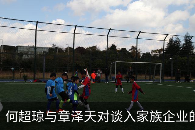 何超琼与章泽天对谈入家族企业的真相