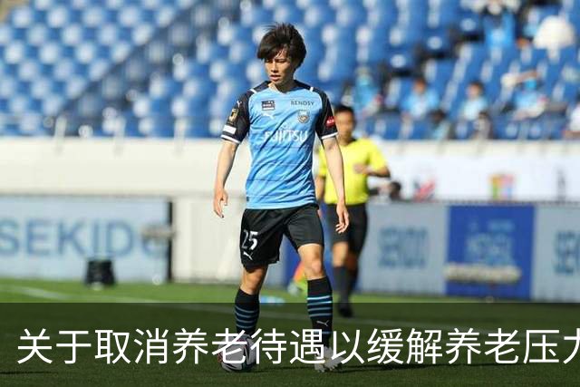 关于取消养老待遇以缓解养老压力的探讨