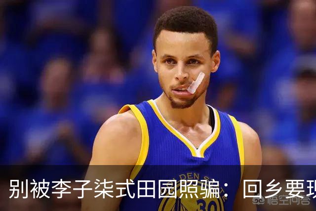 别被李子柒式田园照骗：回乡要现实