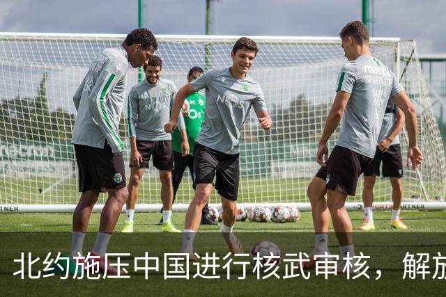 北约施压中国进行核武审核，解放军作出明确回应