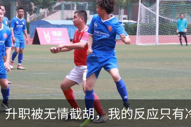 升职被无情截胡，我的反应只有冷淡和平静