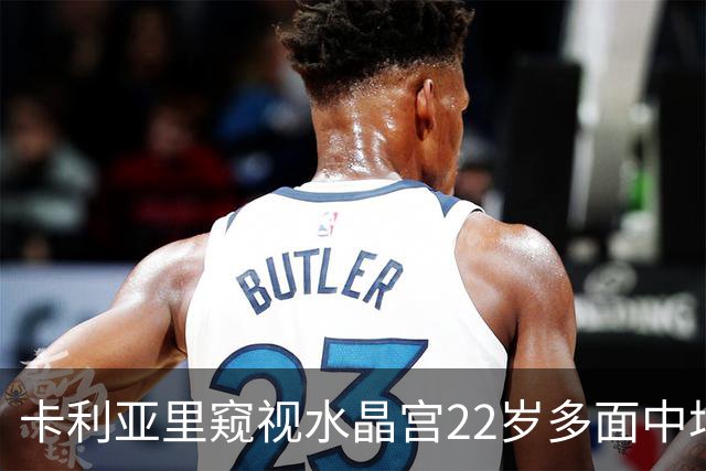 卡利亚里窥视水晶宫22岁多面中场德文尼