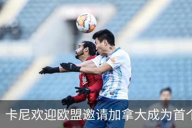卡尼欢迎欧盟邀请加拿大成为首个准成员国