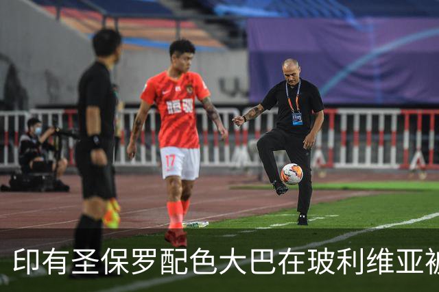 印有圣保罗配色大巴在玻利维亚被查出约86.5公斤大麻