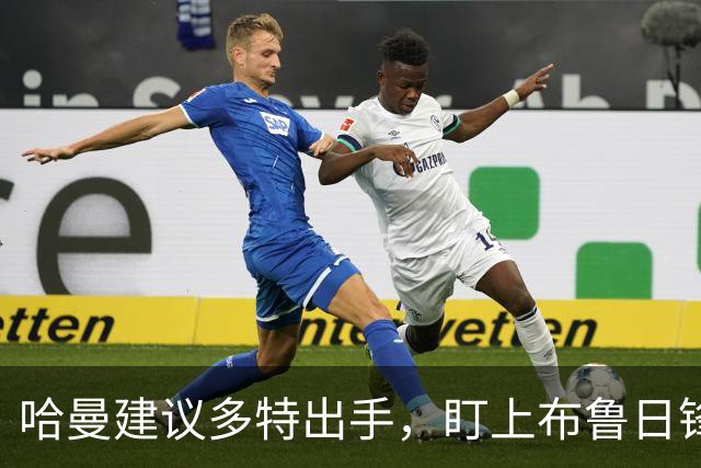 哈曼建议多特出手，盯上布鲁日锋线球员