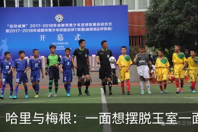 哈里与梅根：一面想摆脱王室一面又难以离开