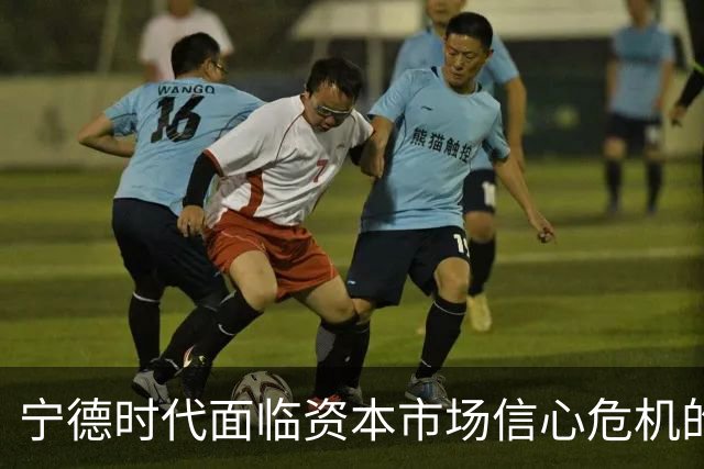 宁德时代面临资本市场信心危机的背后