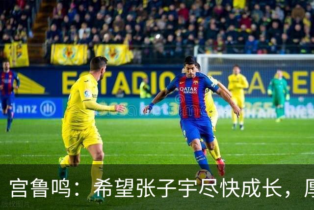 宫鲁鸣：希望张子宇尽快成长，厚植她的未来