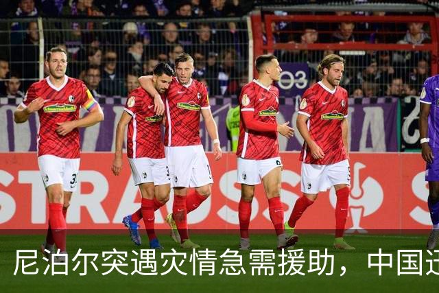 尼泊尔突遇灾情急需援助，中国迅速响应送达救援物资