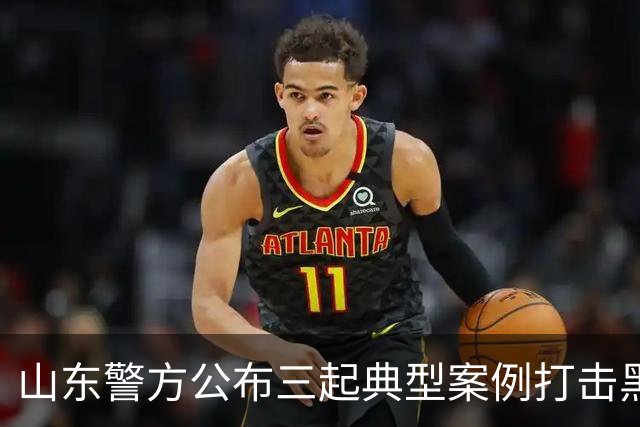 山东警方公布三起典型案例打击黑恶犯罪行动