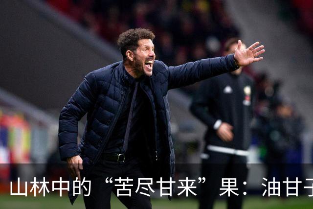 山林中的“苦尽甘来”果：油甘子的奇妙滋味与营养价值