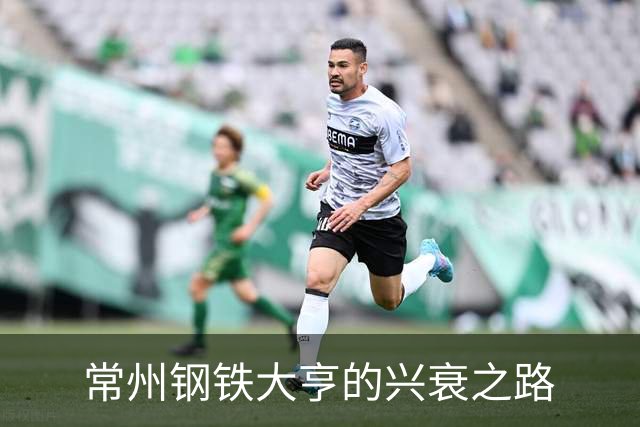常州钢铁大亨的兴衰之路