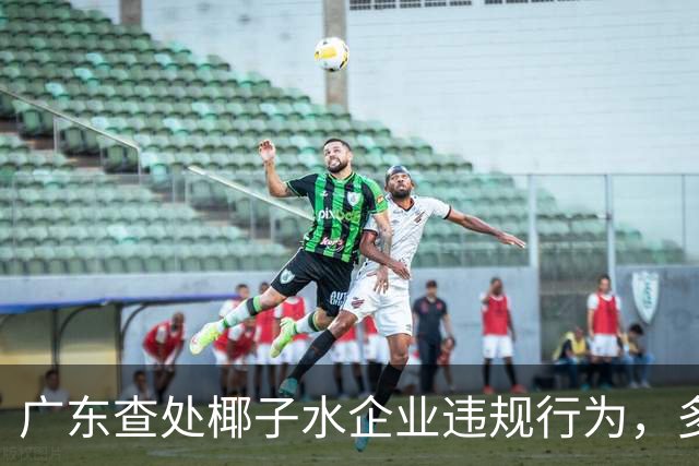 广东查处椰子水企业违规行为，多个品牌问题频出