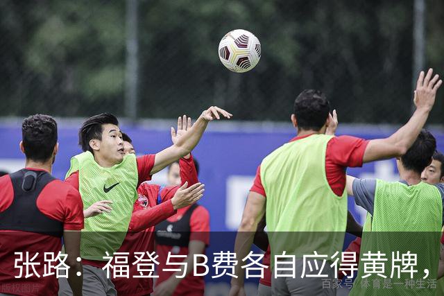 张路：福登与B费各自应得黄牌，福登未必故意踢人
