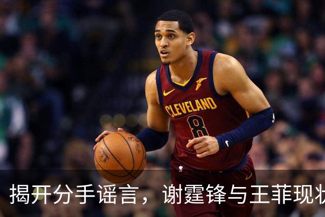 揭开分手谣言，谢霆锋与王菲现状大揭秘