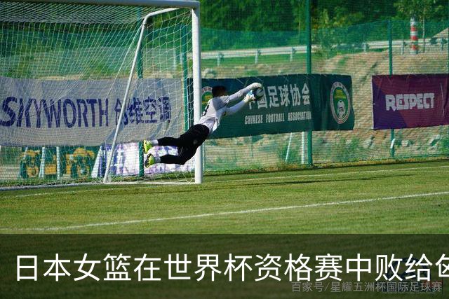 日本女篮在世界杯资格赛中败给匈牙利，未能晋级八强