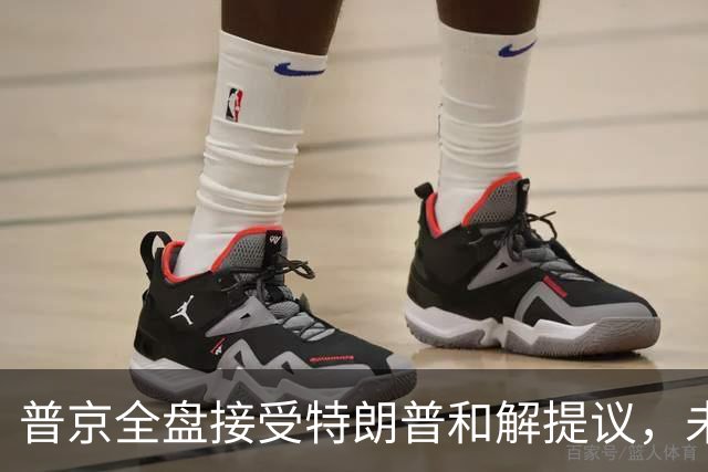 普京全盘接受特朗普和解提议，未做改变