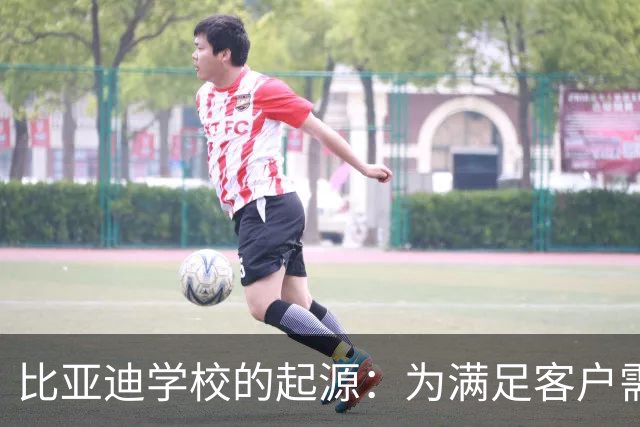 比亚迪学校的起源：为满足客户需求而创办