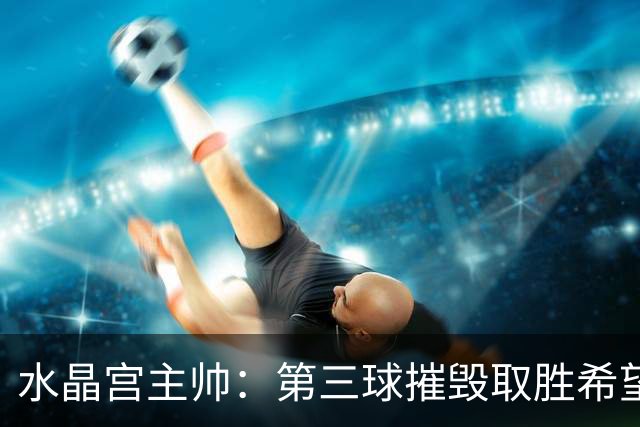 水晶宫主帅：第三球摧毁取胜希望，要坚持战术并调整
