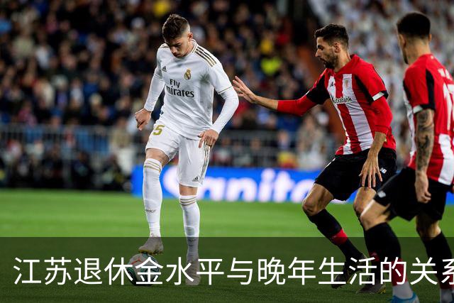江苏退休金水平与晚年生活的关系探讨