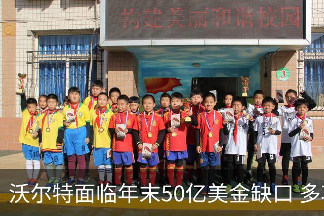 沃尔特面临年末50亿美金缺口 多项资产或难填坑
