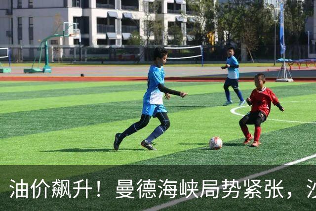 油价飙升！曼德海峡局势紧张，沙特加强空袭应对
