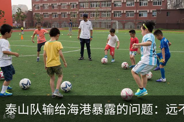 泰山队输给海港暴露的问题：远不能只依靠稳定保底