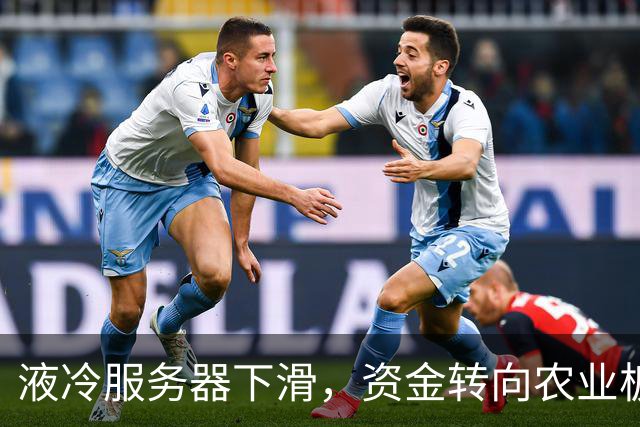 液冷服务器下滑，资金转向农业板块引发潮流