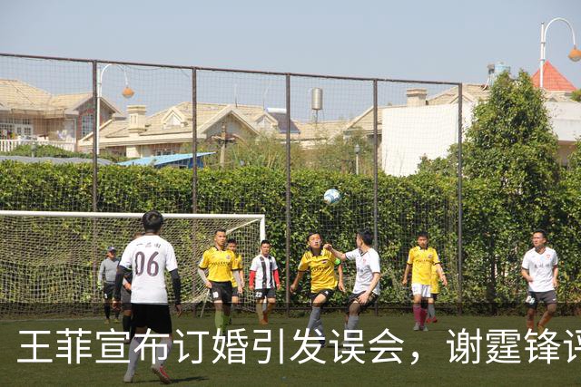 王菲宣布订婚引发误会，谢霆锋评论区热闹一时