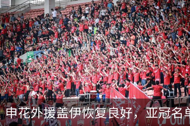 申花外援盖伊恢复良好，亚冠名单引期待