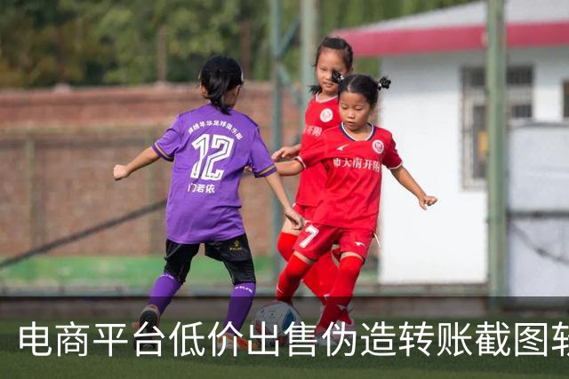 电商平台低价出售伪造转账截图软件，支付宝发出警示