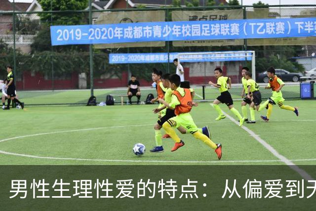男性生理性爱的特点：从偏爱到无可自拔