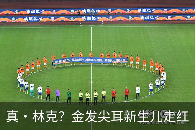 真·林克？金发尖耳新生儿走红