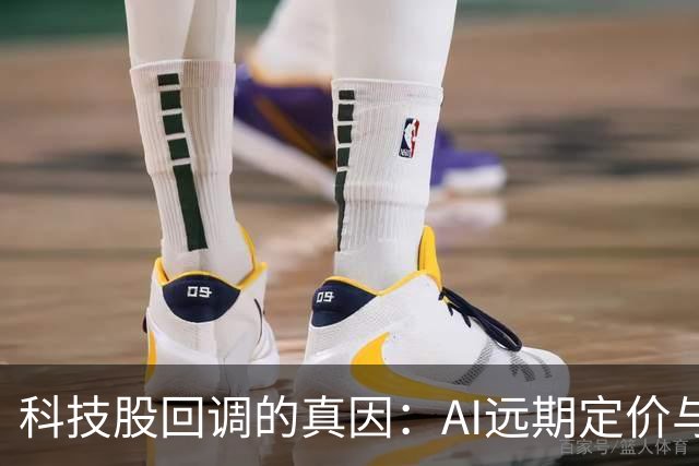 科技股回调的真因：AI远期定价与算力博弈