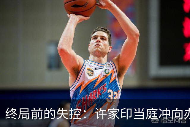 终局前的失控：许家印当庭冲向办案人员的三秒惊心