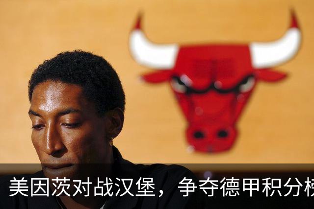 美因茨对战汉堡，争夺德甲积分榜关键分数