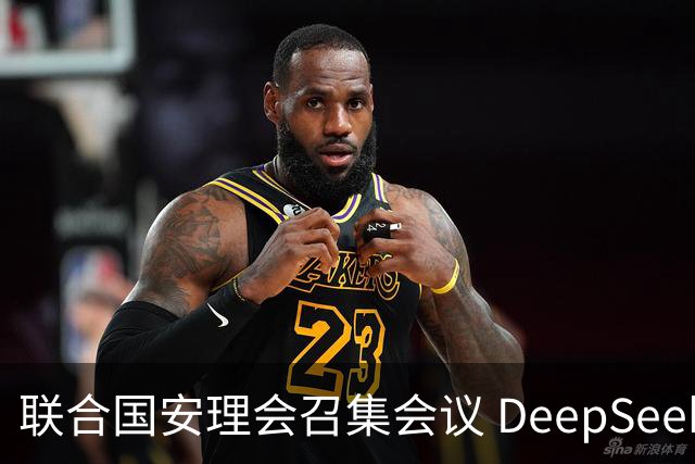 联合国安理会召集会议 DeepSeek将汇报AI安全风险