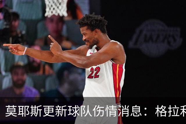 莫耶斯更新球队伤情消息：格拉利什状态回暖，内尔高缺席仍待时机