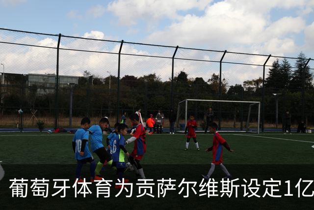 葡萄牙体育为贡萨尔维斯设定1亿欧元解约条款