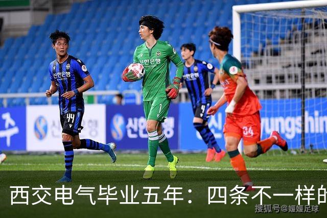 西交电气毕业五年：四条不一样的路