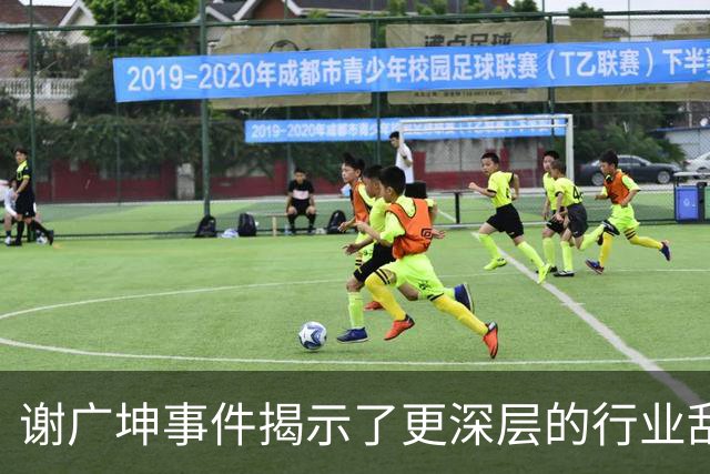 谢广坤事件揭示了更深层的行业乱象