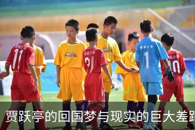 贾跃亭的回国梦与现实的巨大差距