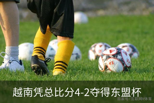 越南凭总比分4-2夺得东盟杯