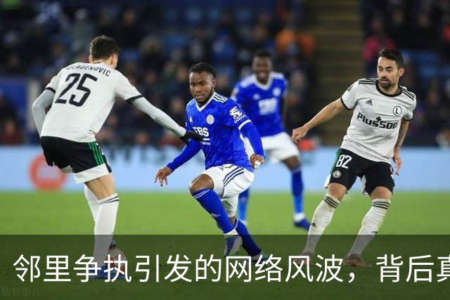 邻里争执引发的网络风波，背后真相令人意外