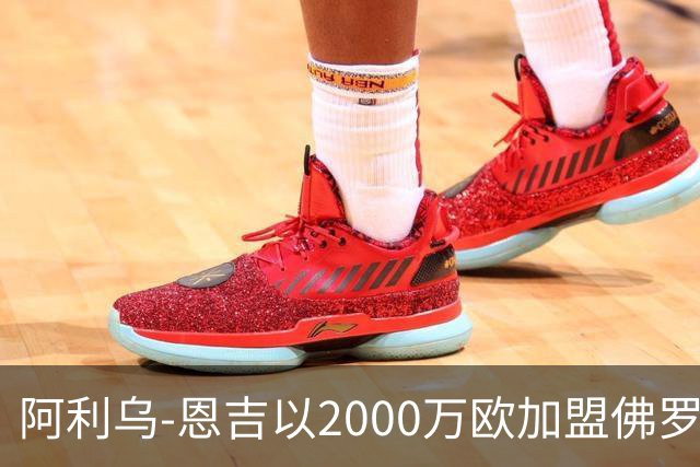 阿利乌-恩吉以2000万欧加盟佛罗伦萨