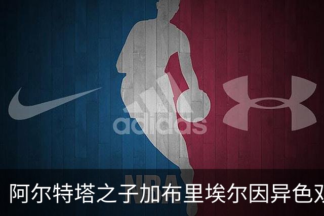 阿尔特塔之子加布里埃尔因异色双眸引热议
