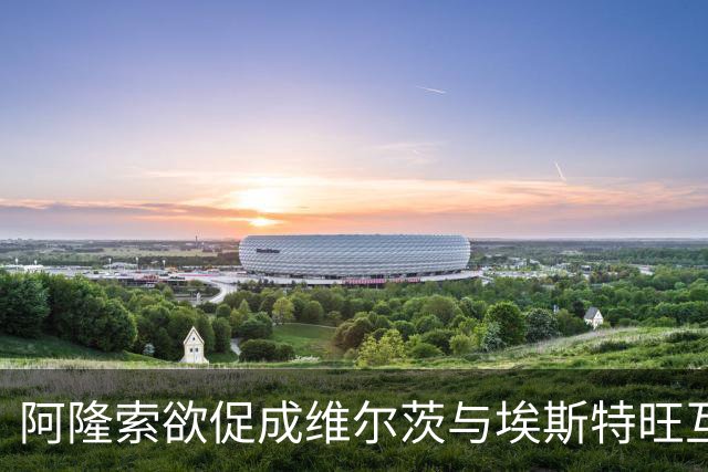 阿隆索欲促成维尔茨与埃斯特旺互换交易